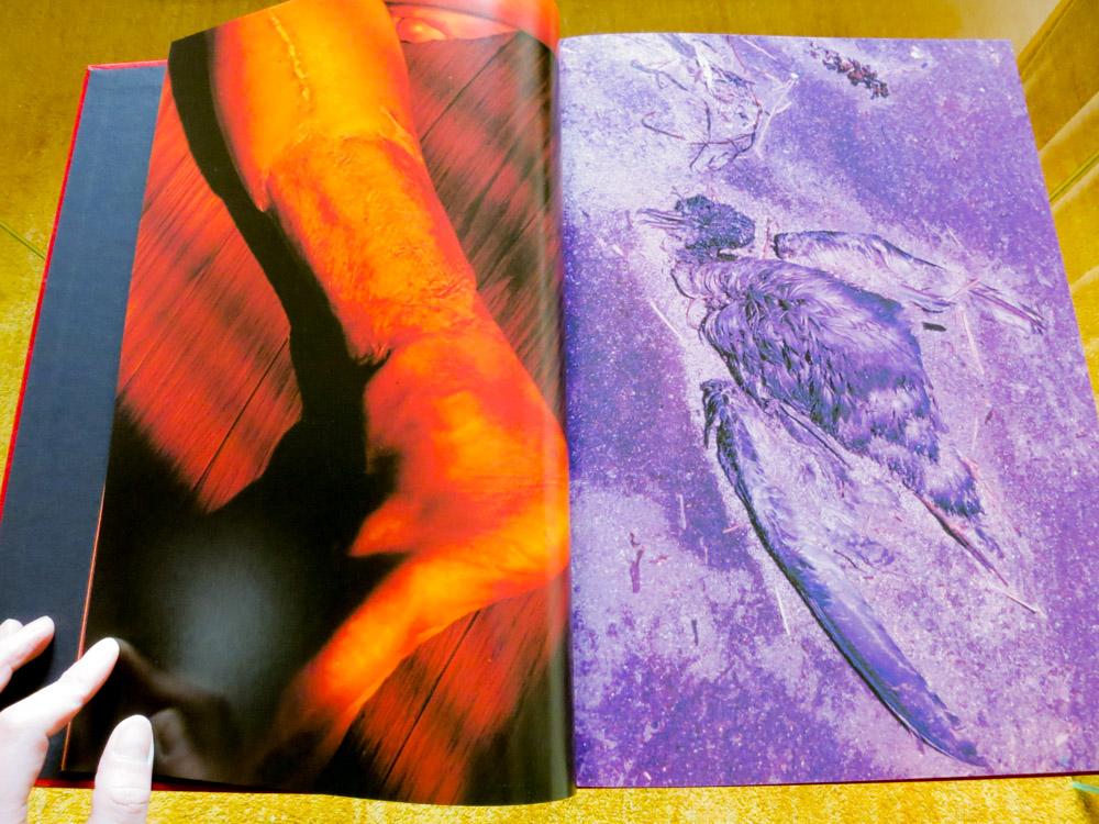 岡部桃 Momo Okabe ｂｉｂｌｅ Atsushisaito Blog