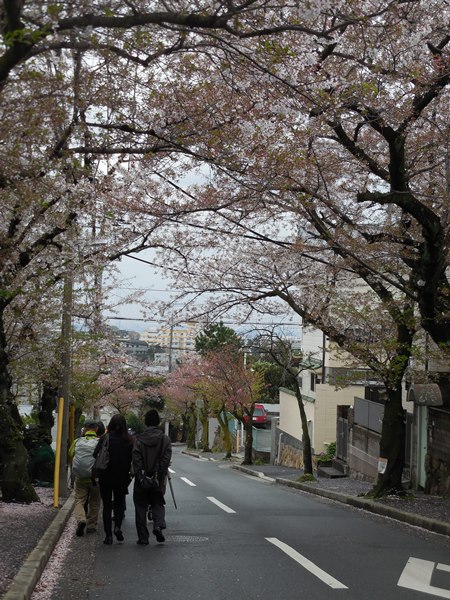 平日ウォーク　「桜の名所を巡って、春をのんびり散歩」_d0074683_15262522.jpg