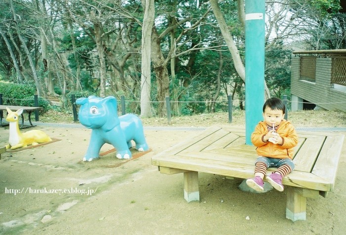 e0148083_09554453.jpg