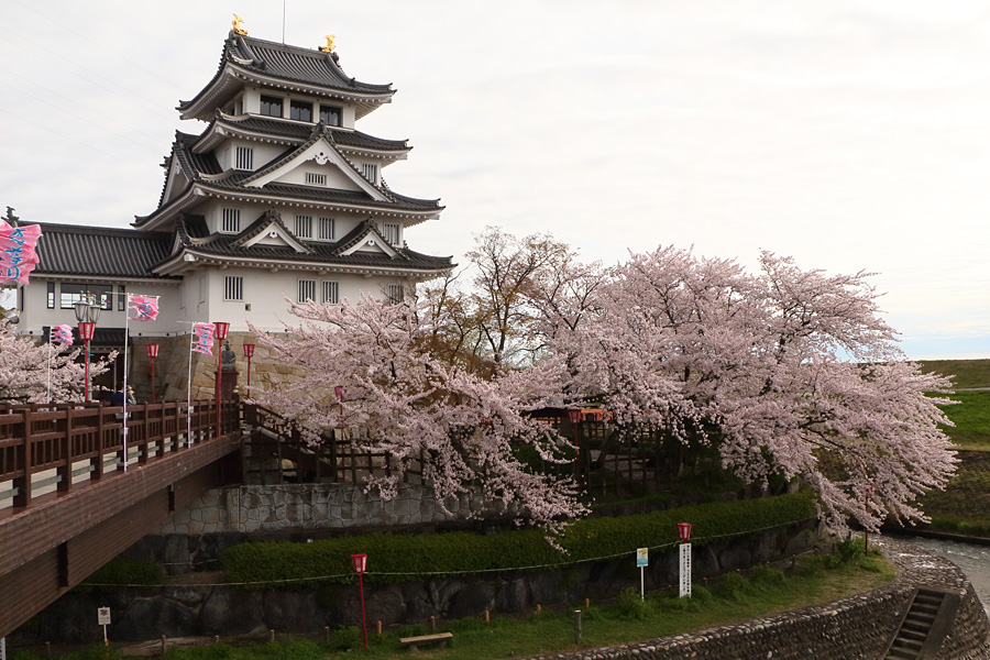 15.04.04：駆け足で桜巡り①スタートは花曇りの墨俣から１_c0007190_2010761.jpg