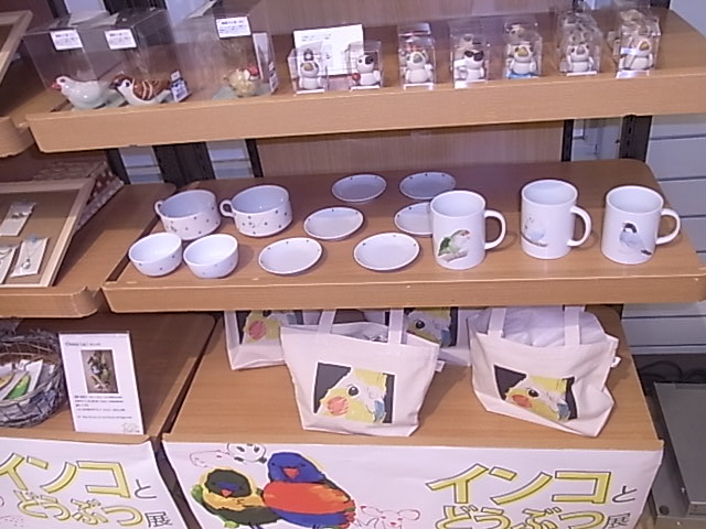 東急ハンズ江坂店「インコとどうぶつ展」全体の様子_d0322493_30526.jpg