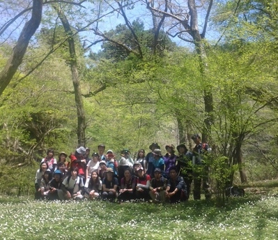 金剛山フラワーハイキング ! 5.2 & 5.17_e0111396_0563823.jpg