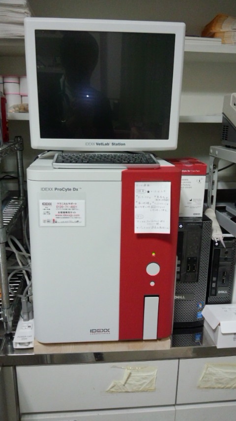 気がつけば桜が・・・_d0178999_15202047.jpg