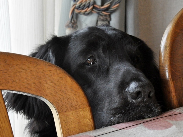 少しお休みします<(_ _)>_f0176499_13541257.jpg