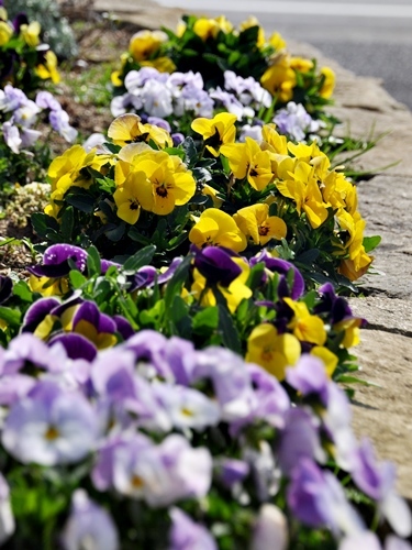 少しお休みします<(_ _)>_f0176499_13552270.jpg