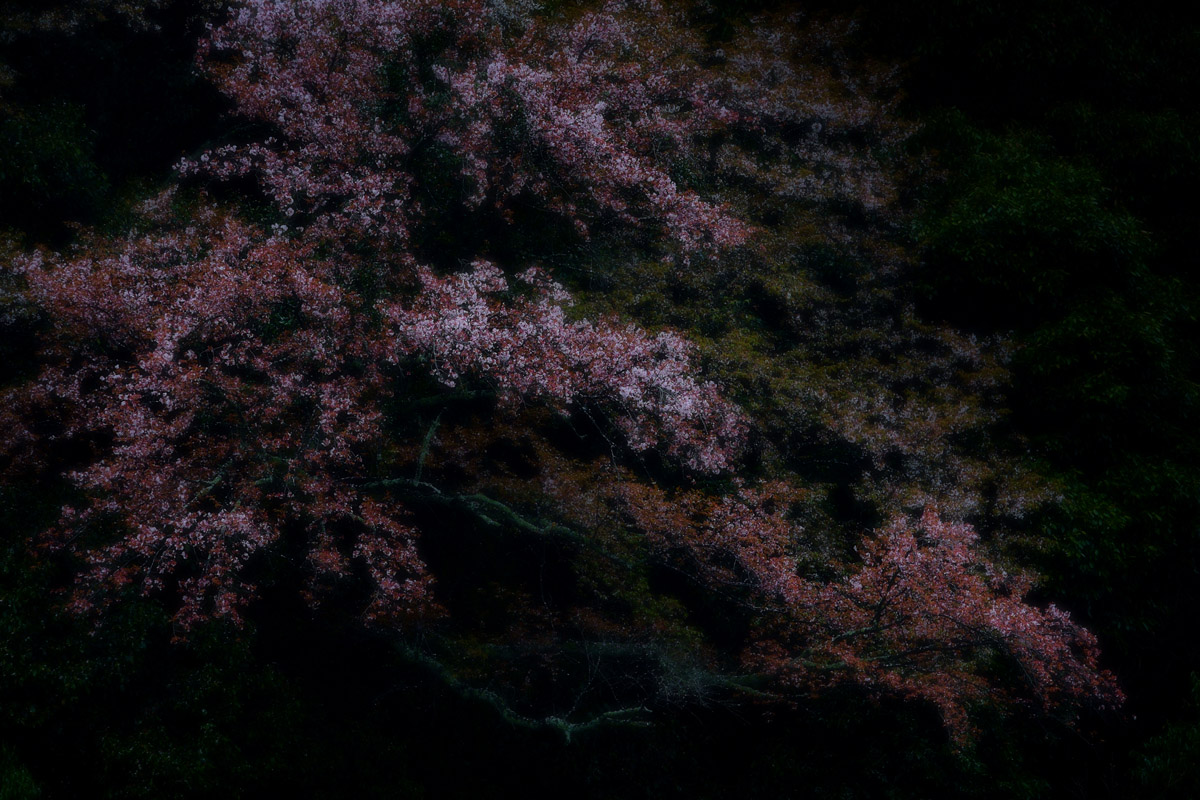 d0200900_05167.jpg