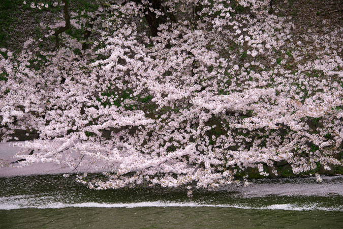 a0263109_16383754.jpg