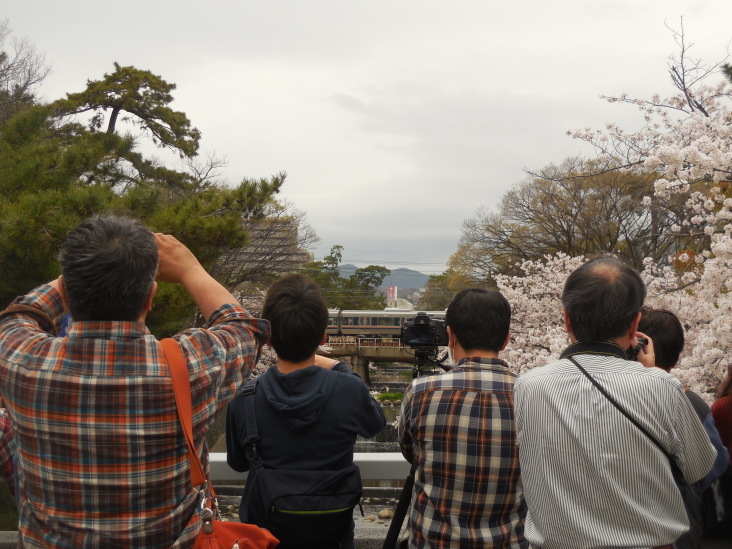 こうすけの 夙川さくら紀行_b0305811_00193559.jpg