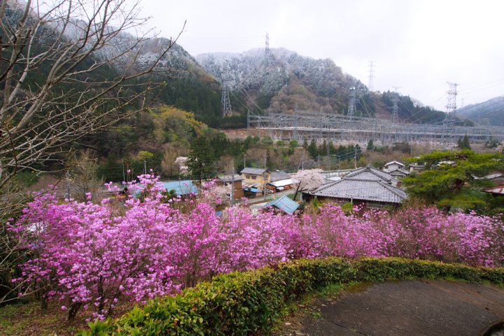 雨あがりの光西寺_a0268412_23363337.jpg