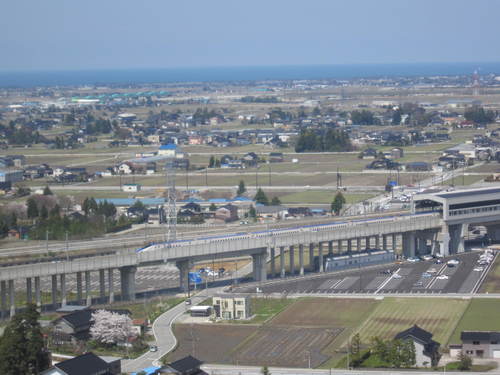 宮野運動公園の桜・２０１５０４０９_a0026413_20525512.jpg