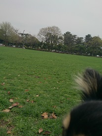 c0315313_16570091.jpg