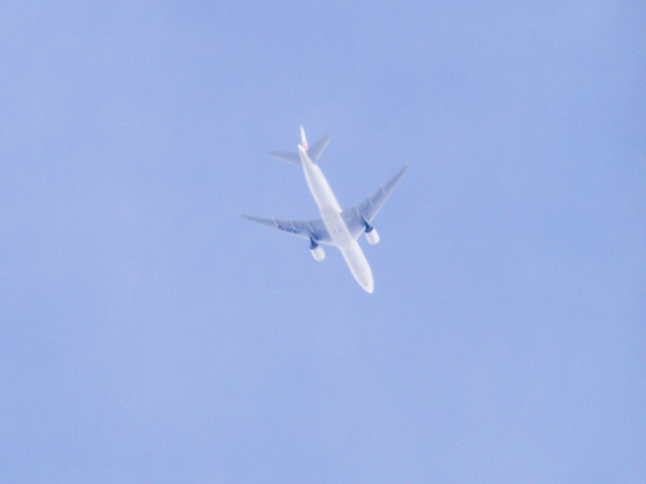 d0192516_13291252.jpg