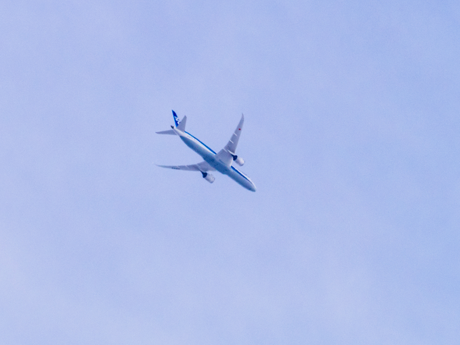 d0192516_13320995.jpg