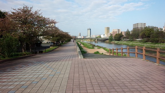 f0031420_1645854.jpg