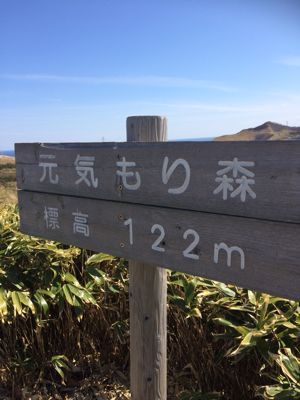 f0147821_0325282.jpg