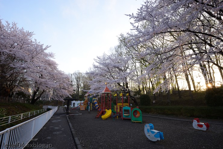 北本市子供公園 ～桜～_d0319222_1013499.jpg