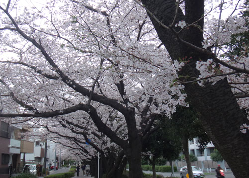 c0028424_21461332.jpg