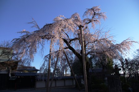 c0051032_17541453.jpg