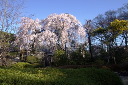 c0051032_1835741.jpg