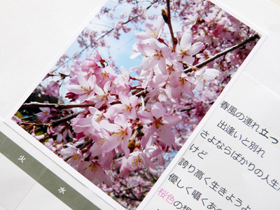 桜色の想いよ　空いっぱいに届け_c0121933_18415786.jpg