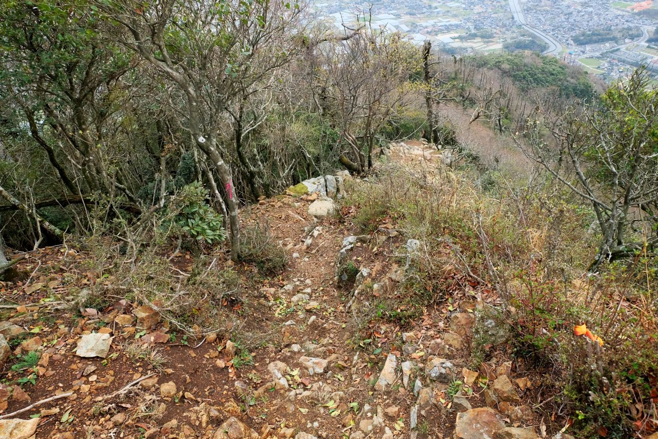 出雲北山・弥山2回目②　帰り道は修理免参道から♪　_a0317247_20302017.jpg