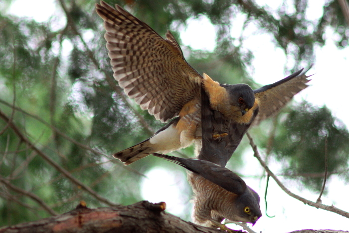 a0324247_20110339.jpg