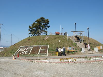 母の日に東北のお花を贈ろうキャンペーン_e0105047_19395270.jpg