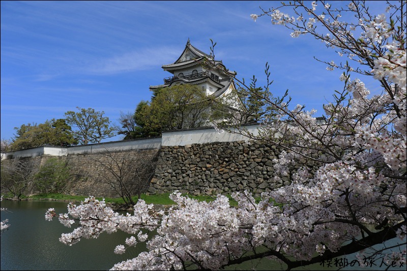 岸和田城の桜_f0140054_854339.jpg