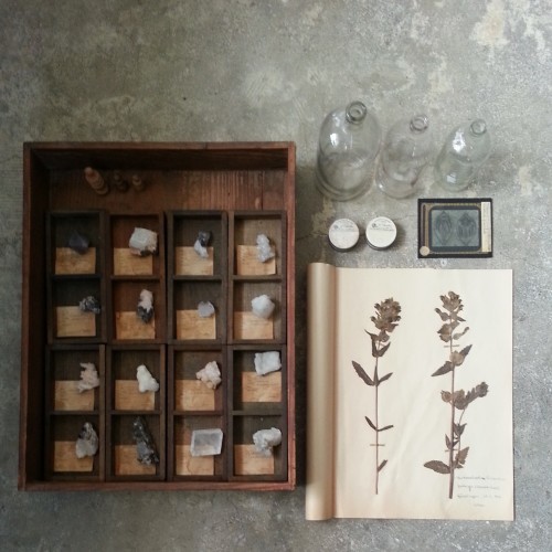 「Green Neighborhood」出展者のご紹介 atelier Rustさん。 _e0060555_00410132.jpg