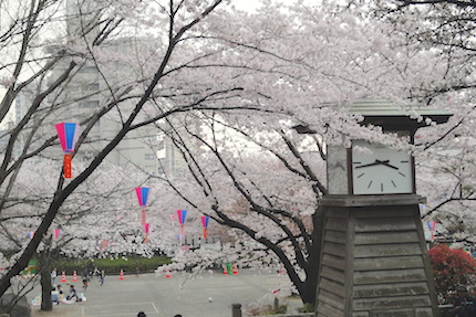 f0054859_913219.jpg