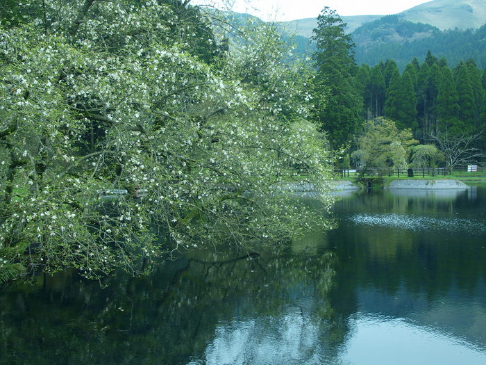 a0260570_57668.jpg