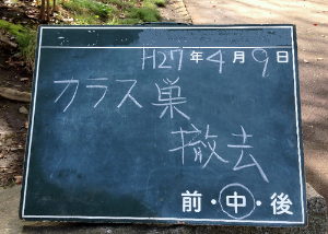 a0157174_13151755.png