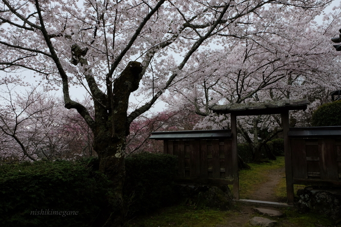 洛西　大原野_b0195589_05358.jpg