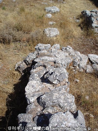 c0010496_23474324.jpg