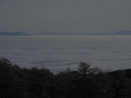 霧氷と雲海がきれいな朝_e0120896_08281461.jpg