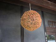 c0173201_9221748.jpg