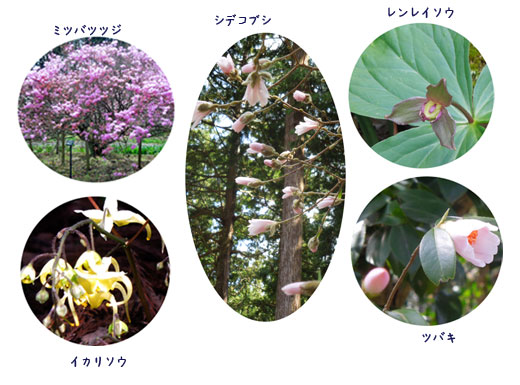 御殿場へ_c0051105_23553571.jpg