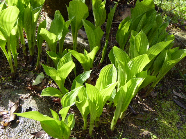 a0080610_281427.jpg