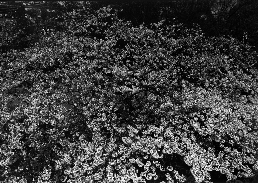 b0320510_09354716.jpg