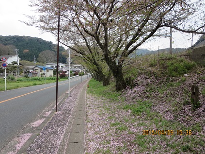 a0048823_16342890.jpg
