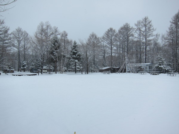 b0174425_19434383.jpg