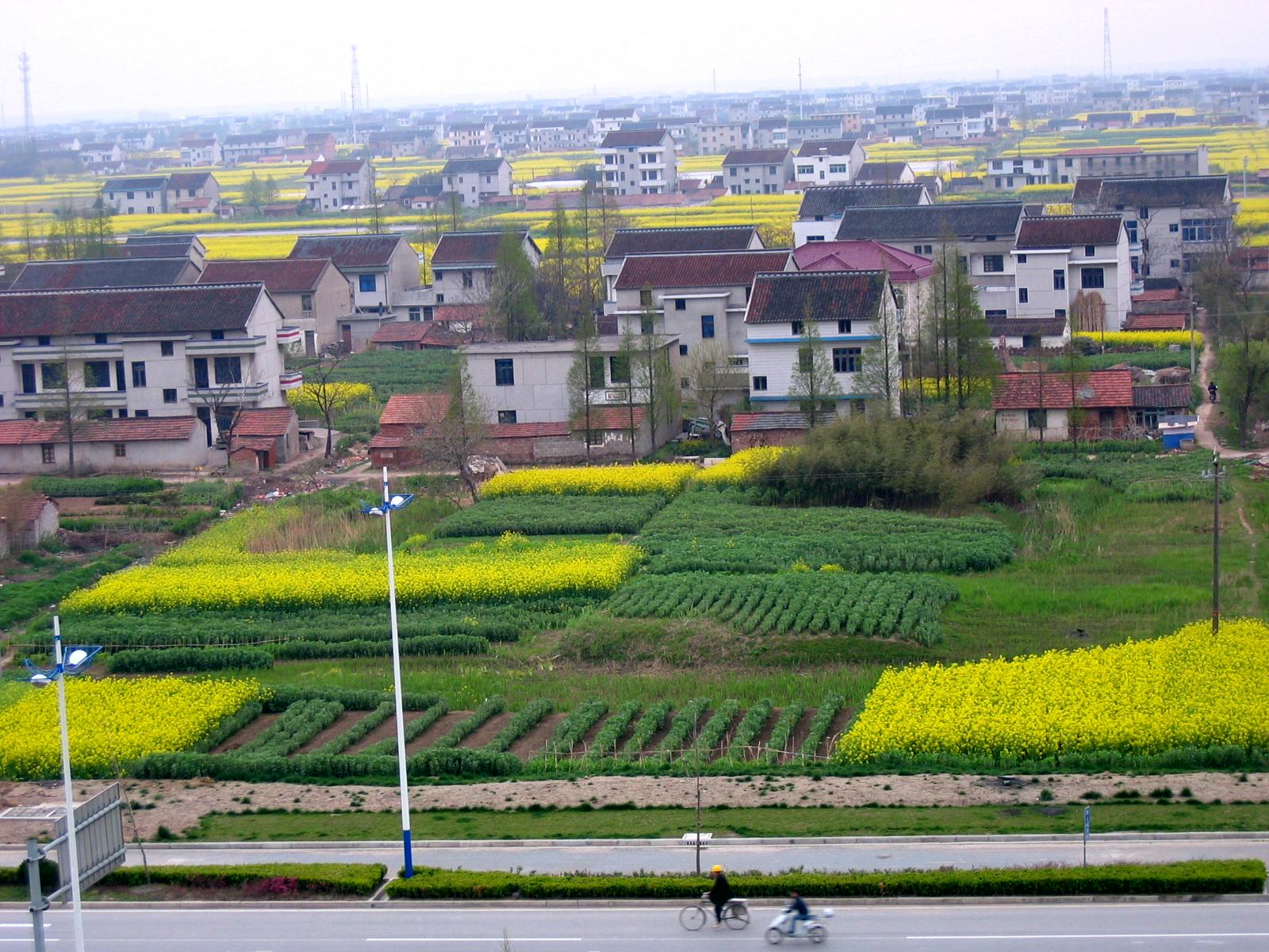 b0069128_2138081.jpg