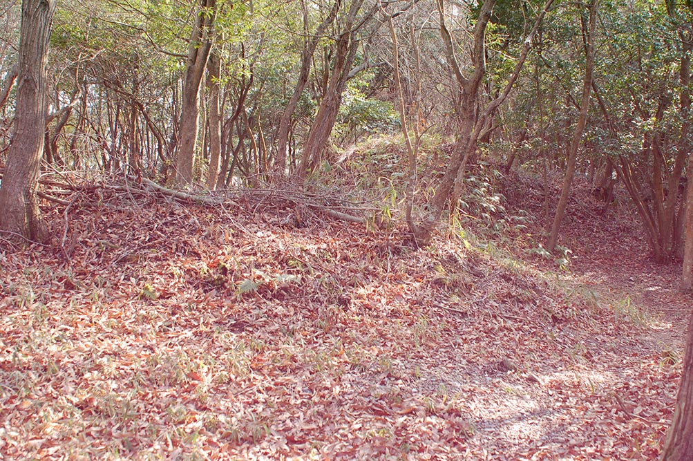 e0158128_21312244.jpg
