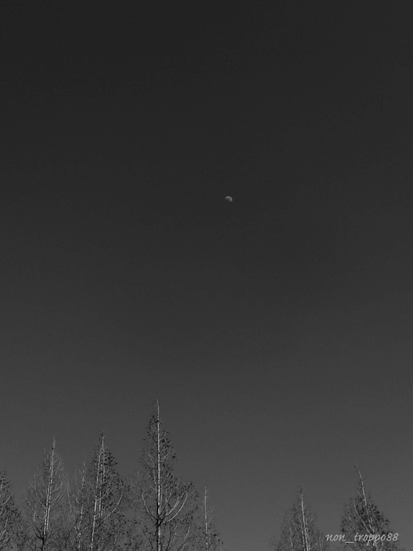 d0086329_2244610.jpg