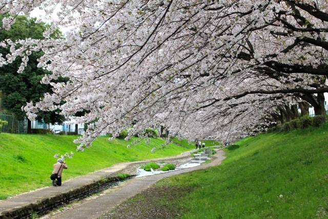 【江川せせらぎ緑道】part 1_f0348831_23013573.jpg