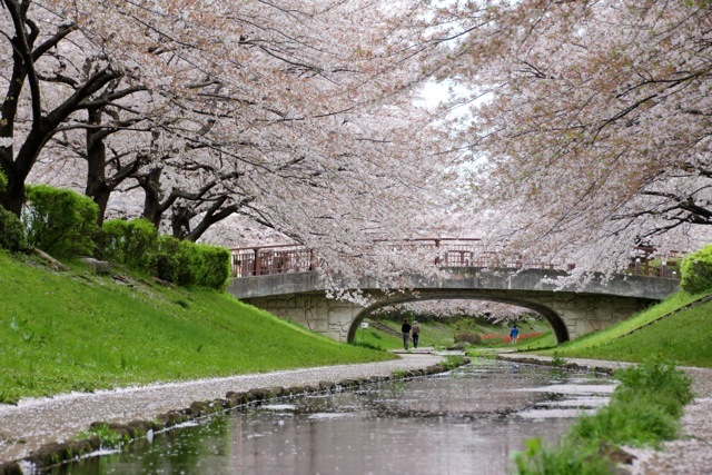 【江川せせらぎ緑道】part 1_f0348831_23015408.jpg