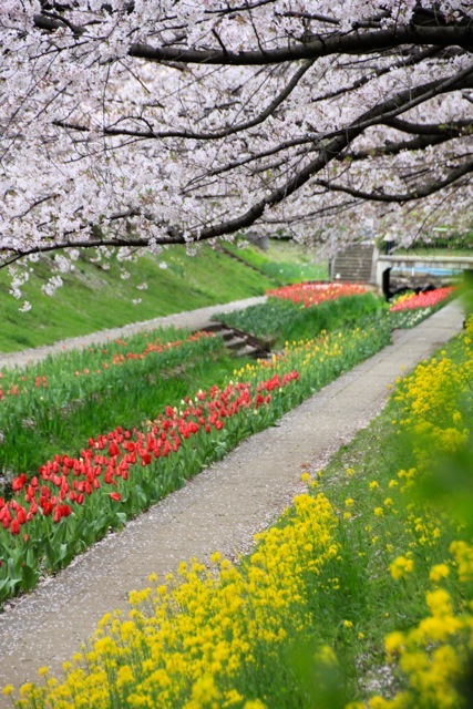 【江川せせらぎ緑道】part 1_f0348831_23074875.jpg