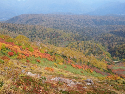 大雪山・赤岳銀泉台_b0042334_081327.jpg