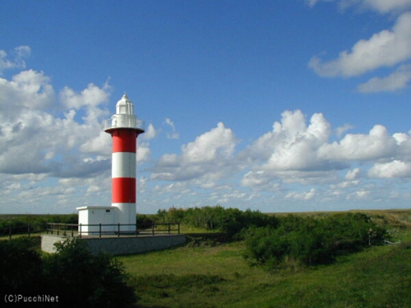a0303336_21171888.jpg