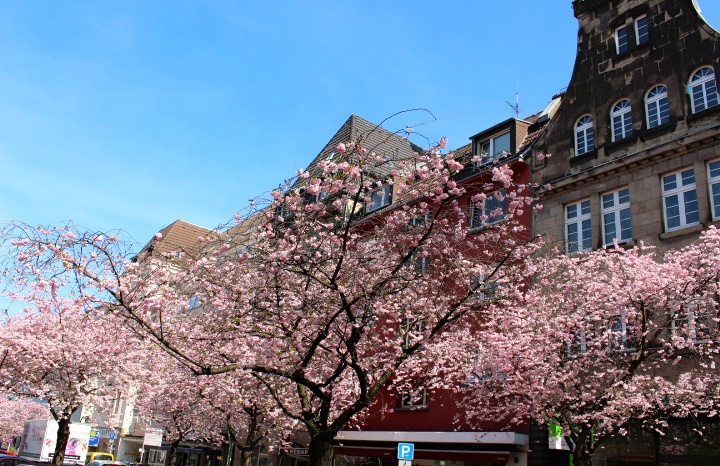 c0153740_21402395.jpg